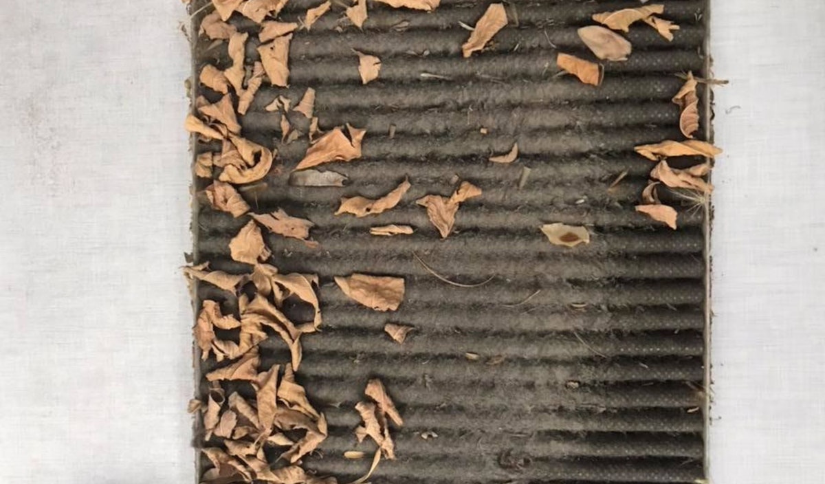 Thumbnail for Cabin air filters